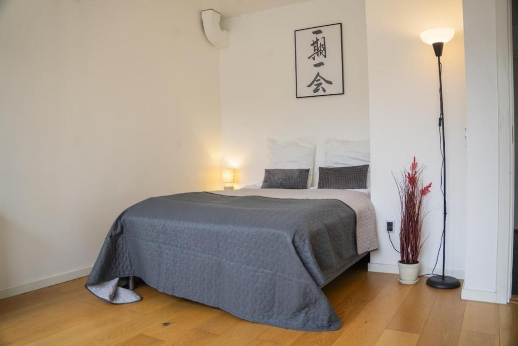 Private room in spacious copenhagen-based apartment