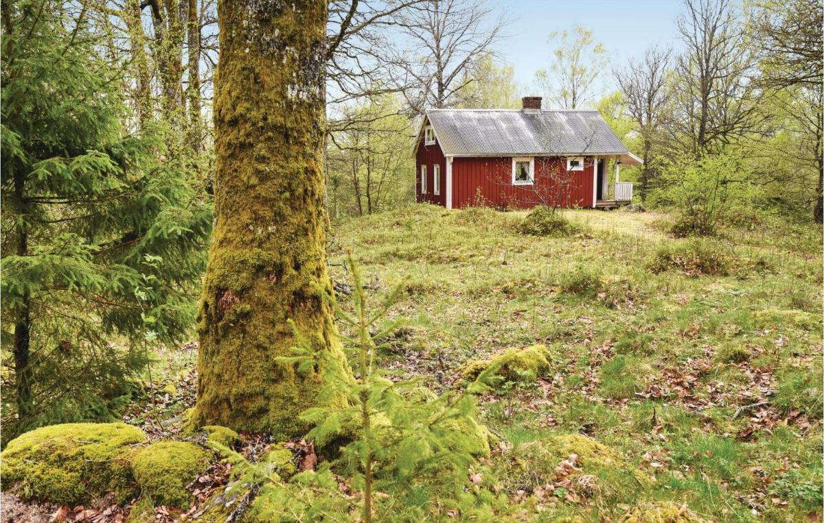 Nice Home In Sjötofta With House A Mountain View