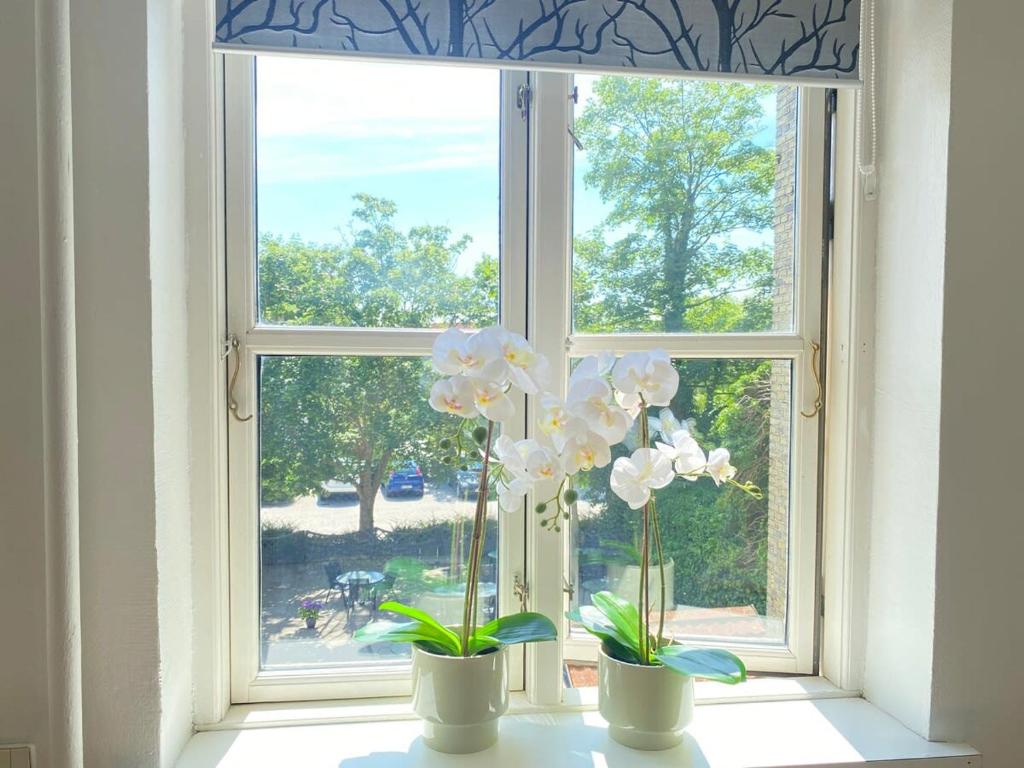 Boutique lejlighed Nakskov