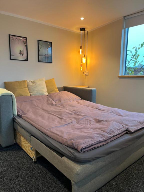 Cosy Guesthouse near Copenhagen