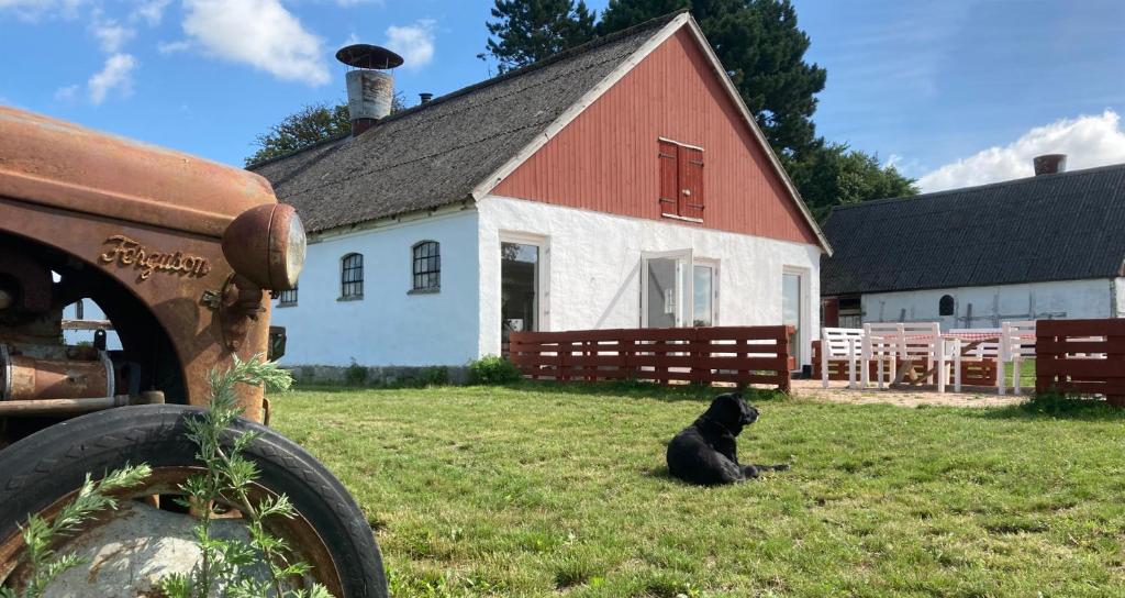 Dambækgaard Sustainable Farm