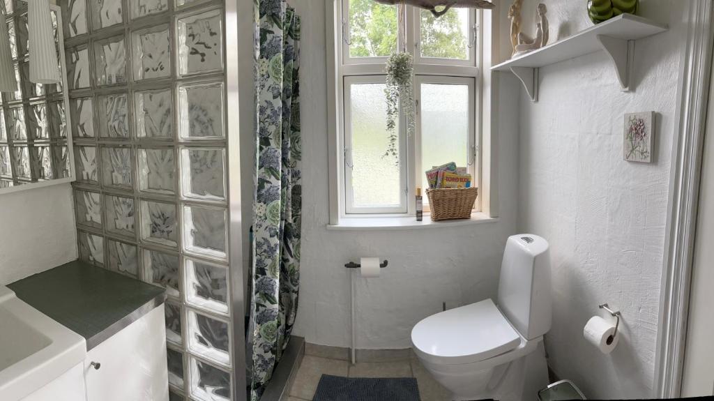 Det blågrønne Hus