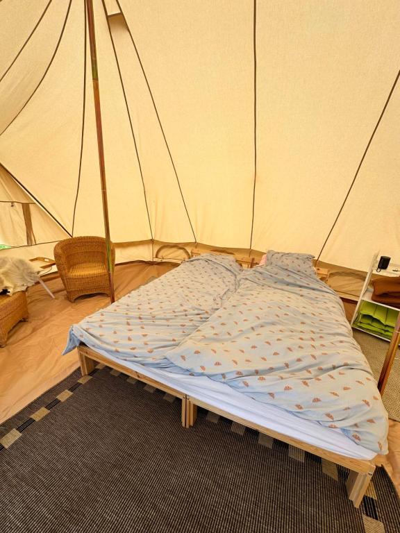 Glamping tent at møn