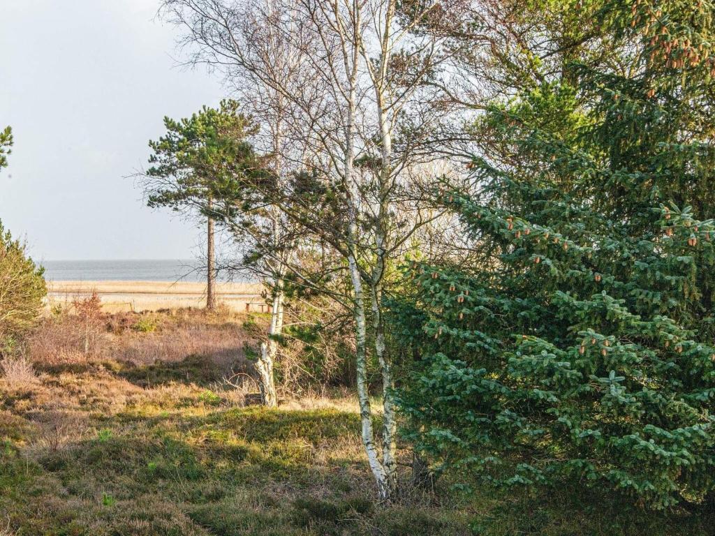 Holiday home Rømø CXXV