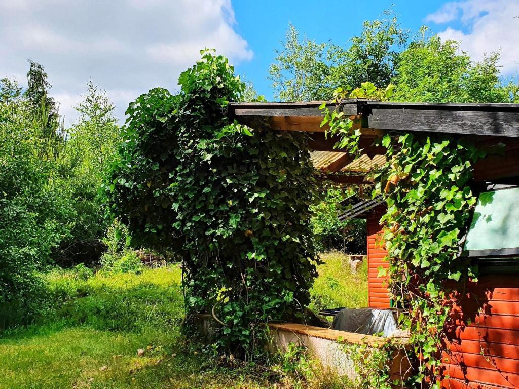 4 person holiday home in Vig-By Traum