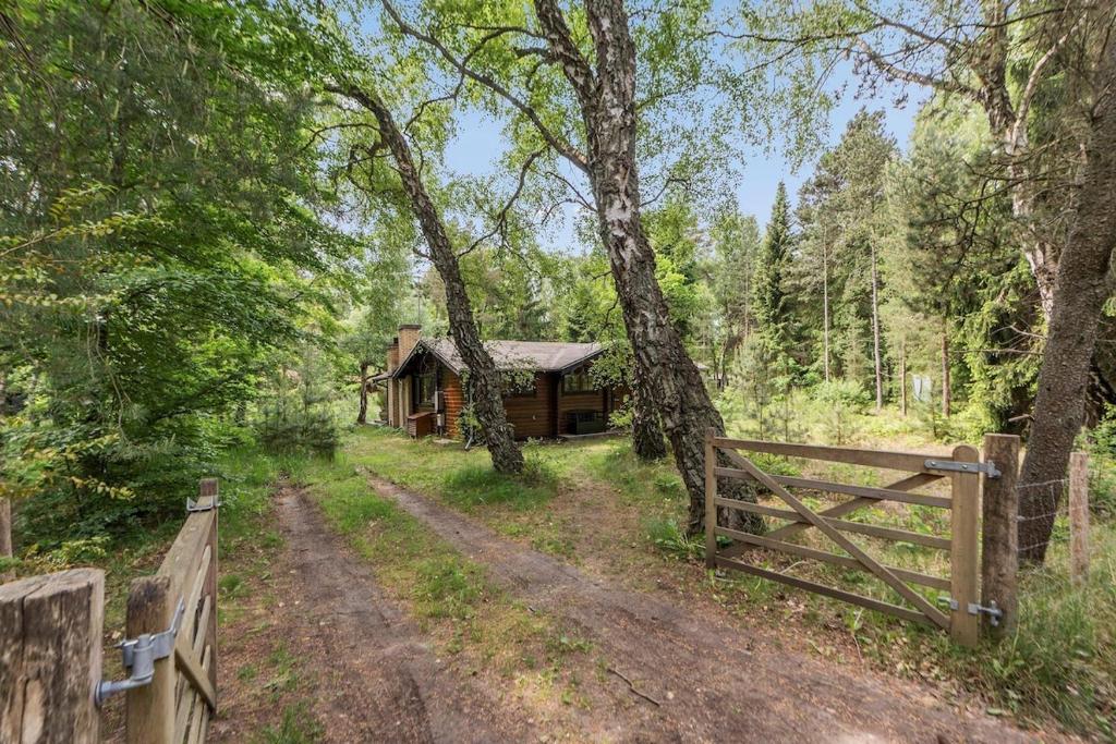 Nature, tranquility, and coziness