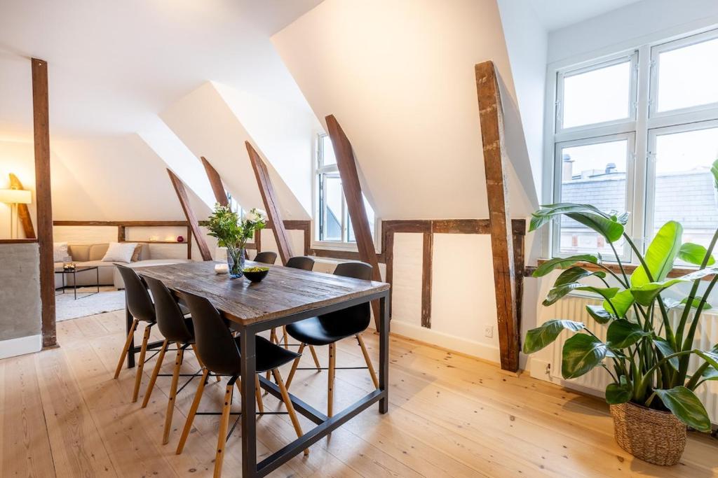 Penthouse in the heart of Copenhagen