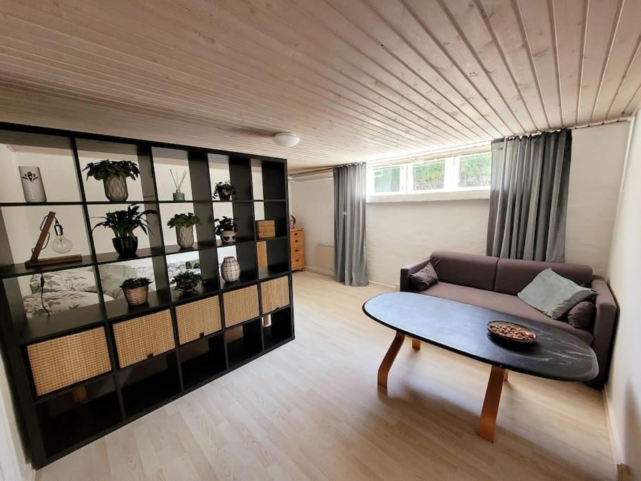 Cozy basement apartment in the center