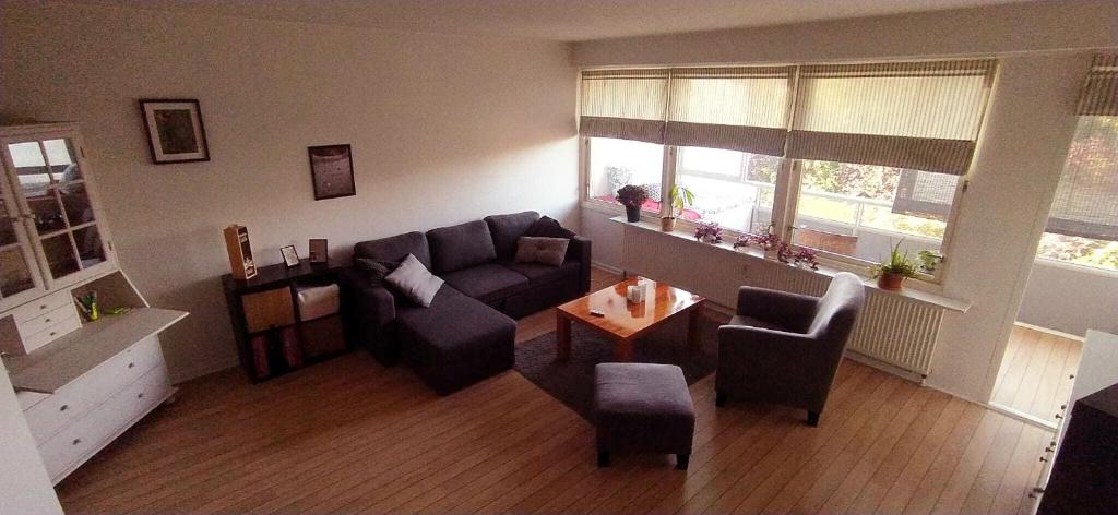 Sunny, spacious, and quiet apt