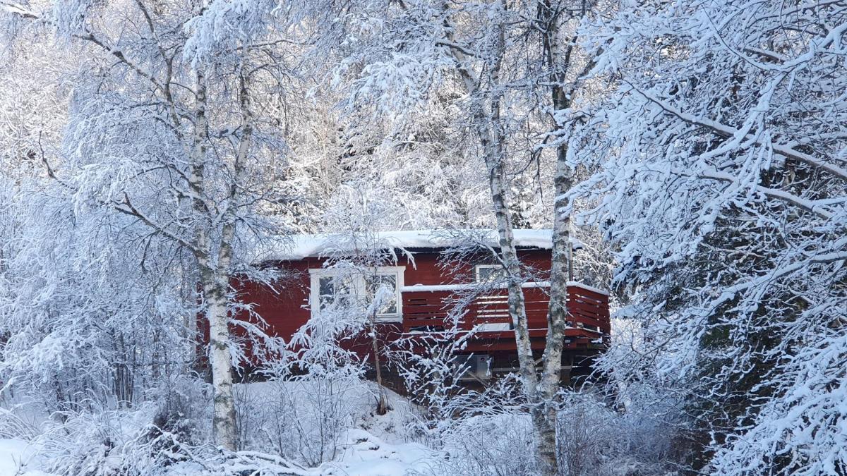 Vikinggård Cottages